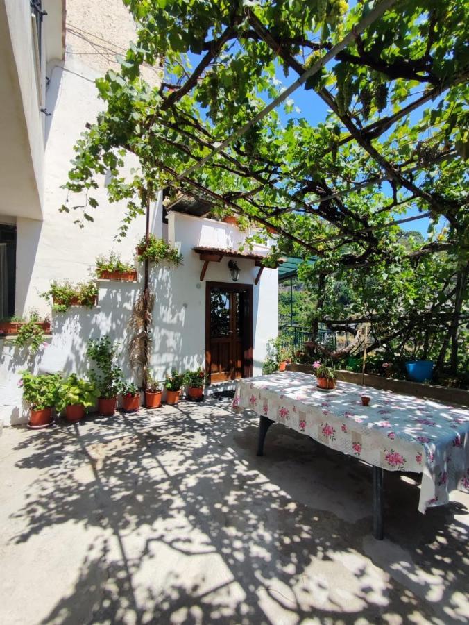 Apartament Eden Tra I Limoni Minori Zewnętrze zdjęcie